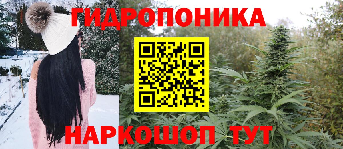 Бошки марихуана гибрид Гусиноозёрск